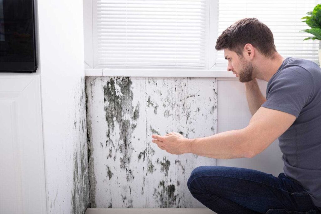 Housing Disrepair Team